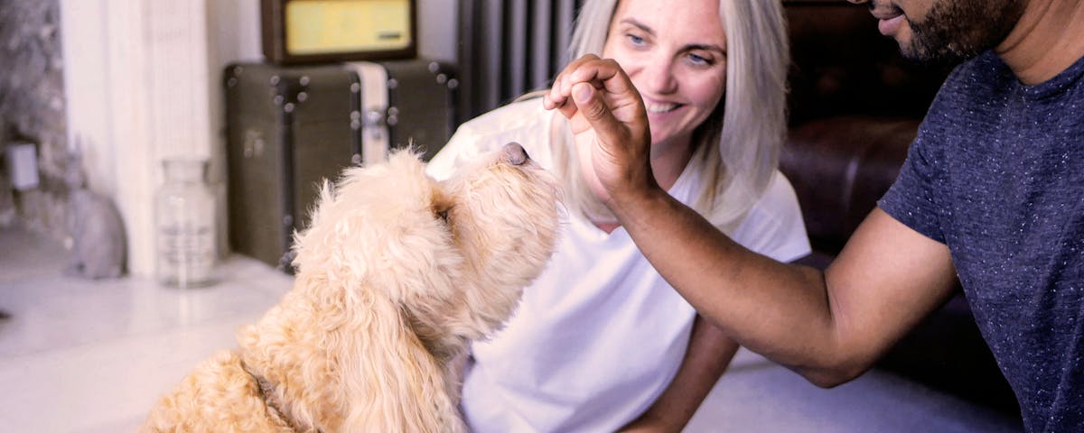 Man giving a treat to a dog