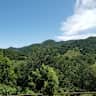 House sit pet parent - Relaxing stay in the mountains.