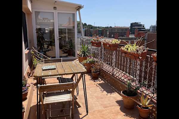 House sit in Barcelona, Spain