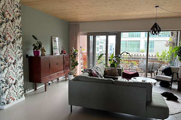 House sit in Amsterdam, Netherlands