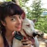 House sit pet parent - Quiet Brooklyn retreat with Lulu from July 10-29