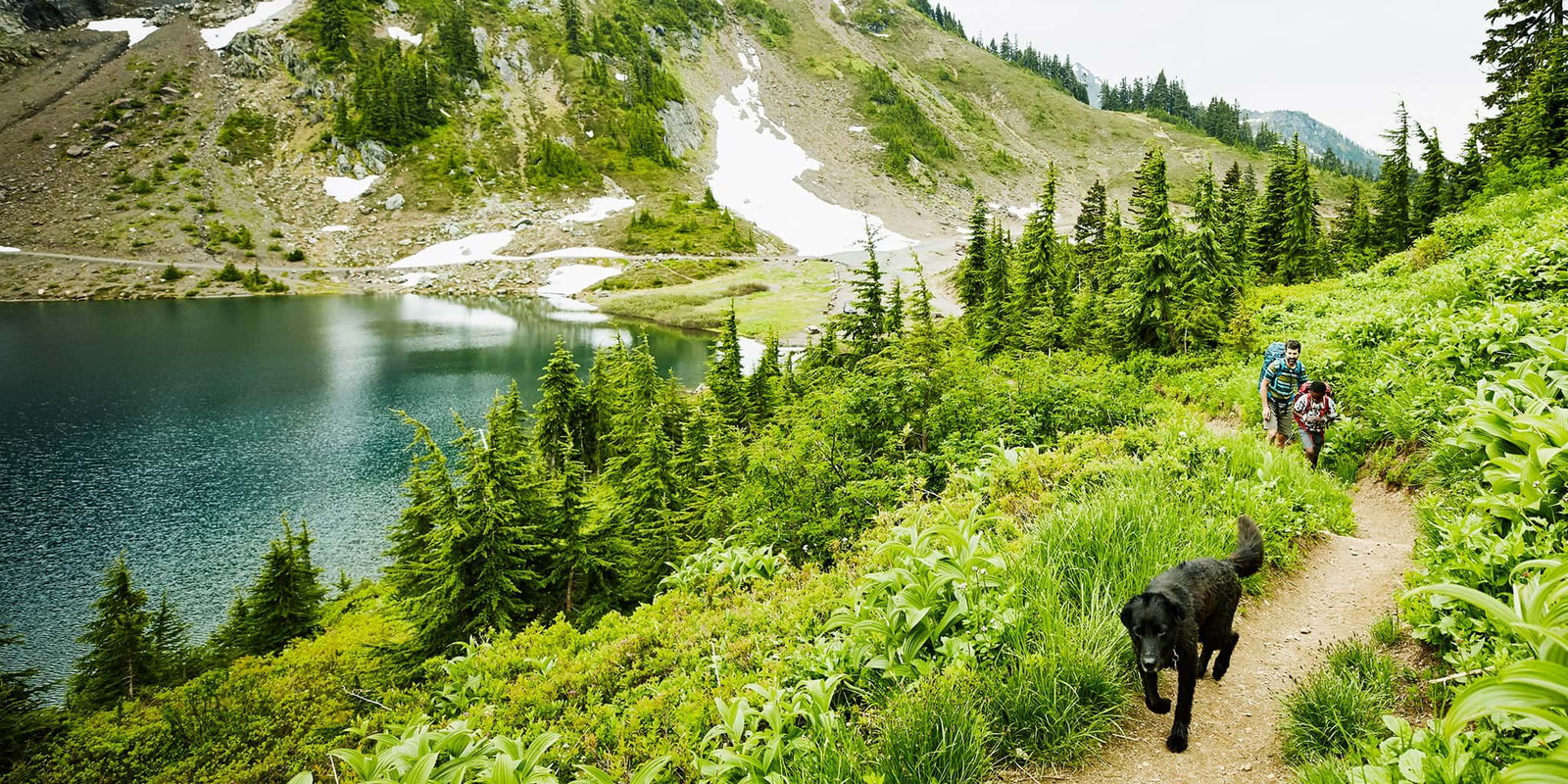 Discover house sitting worldwide banner