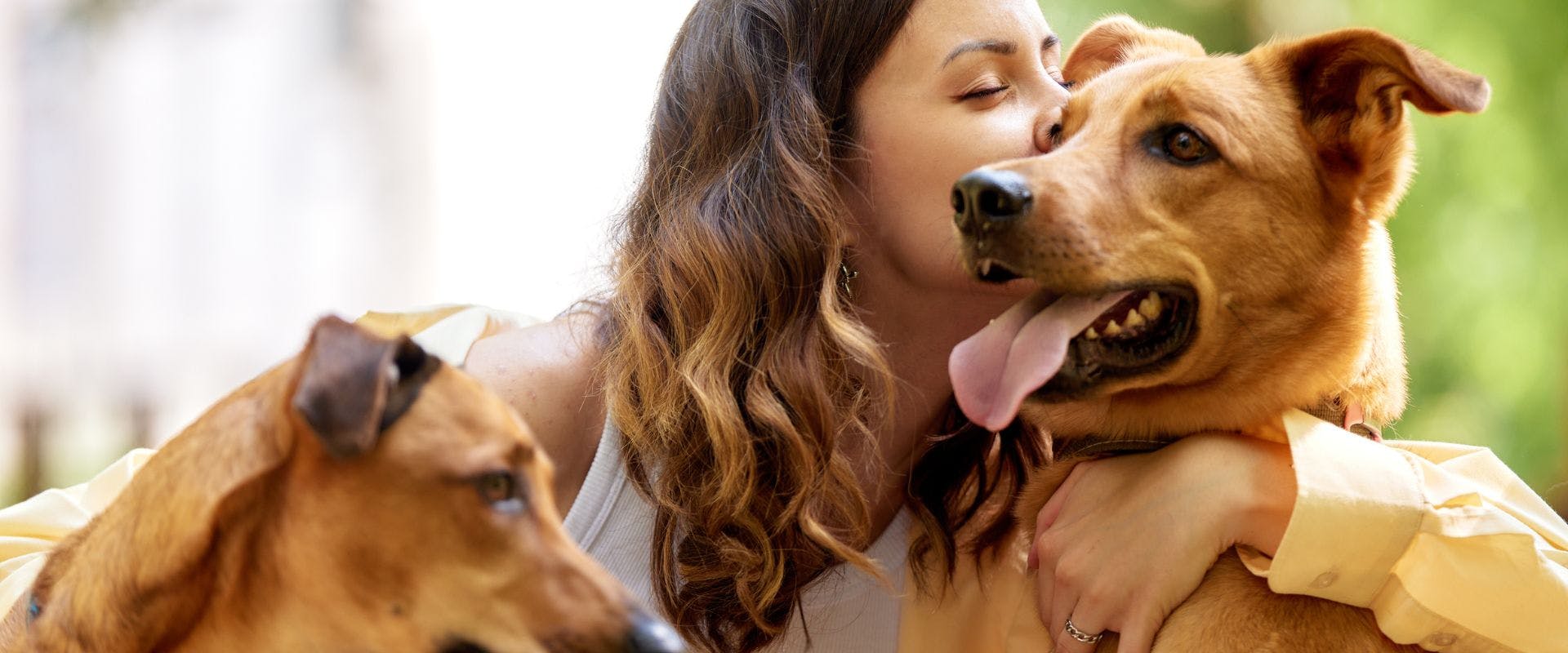 Dog sitter or dog owner embracing two dogs in an outdoor area