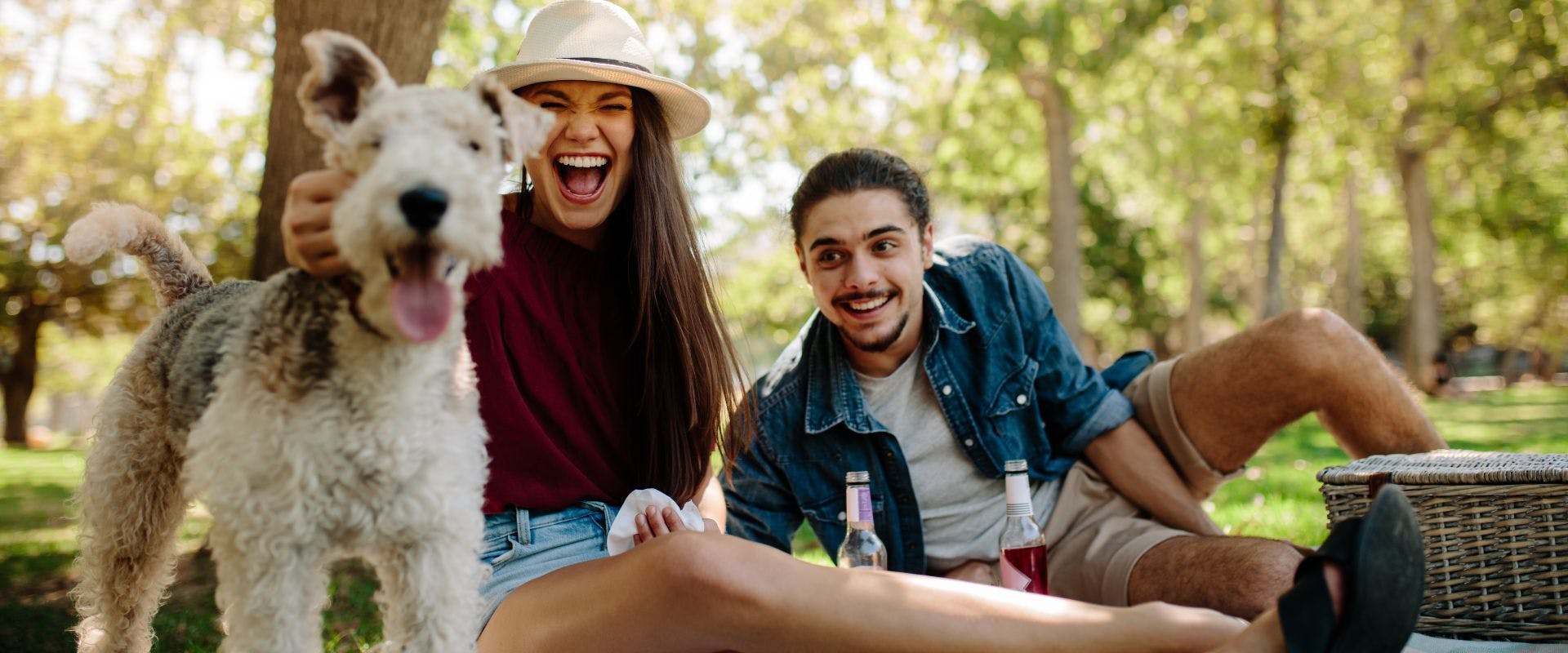 Couple having a picnic with a white and grey dog