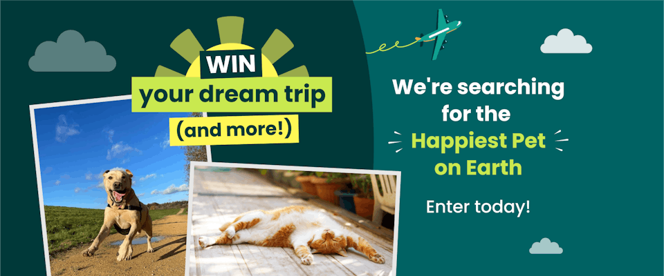 Win your dream trip (and more!) 